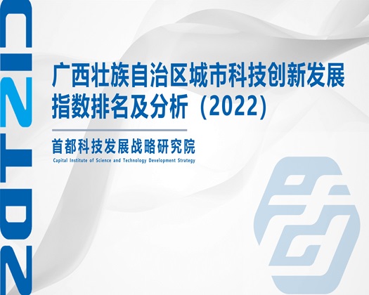 老黑逼【成果发布】广西壮族自治区城市科技创新发展指数排名及分析（2022）